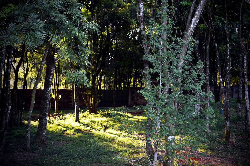 Cabanas Las Termas Villa Oberá Eksteriør bilde